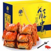 限地区：姑苏渔歌 阳澄湖六月黄大闸蟹现货实物1.5两/只 4对8只*2