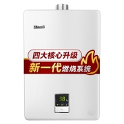 林内（Rinnai）  JSQ31-C01 燃气热水器 16升