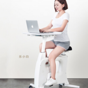 乐歌（Loctek） 乐小白可升降可移动站立办公桌 V9
