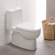 科勒（KOHLER）  瑞琦4.8升 五级旋风绿能连体座便器