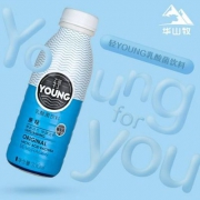 华山牧 轻young乳酸菌饮料 原味330ml*12瓶