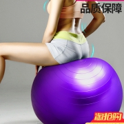 奥义 健身瑜珈球 55cm
