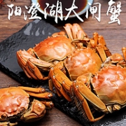 每只1.5-2两，荟鲜阁 阳澄湖满黄六月黄公蟹 16只