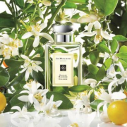 JO MALONE 祖·玛珑 橙花女士香水 30ml *3件