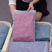 雅琴 分装防水旅行收纳袋 10个装