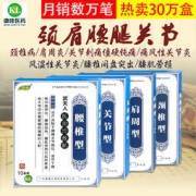 惠真源 颈肩腰腿骨关节专用冷敷贴 10贴