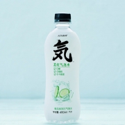 元气森林 青瓜味无糖苏打水 480ml*12瓶