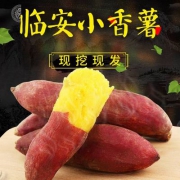 花珍谷 临安天目山小香薯 5斤