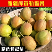 以稀 正宗新疆库尔勒香梨 非全母梨 10斤 皮薄肉细 清脆多汁