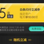 优惠券：京东 白条闪付 立减5元券 指定商户使用