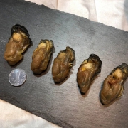 海公公 北海特产 淡晒生蚝干牡蛎干 250g