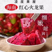 凌度果屋 海南红心火龙果 5斤