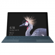 微软（Microsoft）  新Surface Pro 二合一平板电脑 12.3英寸 裸机版（i5、8G、256G）