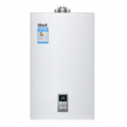 Rinnai 林内 JSG32-22A 安享系列 16升平衡机(天然气)智能恒温 燃气热水器