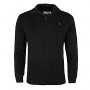 polo RALPH LAUREN 拉夫劳伦 RL3561 男士全棉半高领针织衫