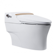 American Standard 美标 CEAS5392 一体智能坐便器