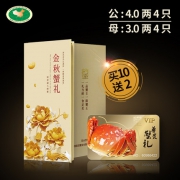 上海老牌 一统阳澄 1588型 阳澄湖大闸蟹礼券 公4母3 共8只
