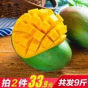 仅前1万名！甘福园 攀枝花凯特大芒果 9斤