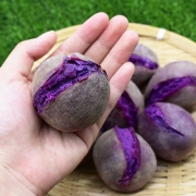 越南进口 海里帝 圆形小紫薯 多吃不胖 2500g