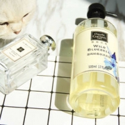 歌歌兰妮 蓝风铃香水沐浴露 500ml