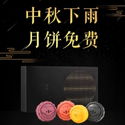 网易考拉 工厂店 金月满溢月饼礼盒 8只装 【中秋下雨·月饼免费】