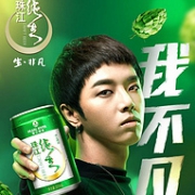 珠江啤酒 9度纯生 330ml*24罐*2件