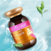 澳洲Springleaf绿芙 深海胶原蛋白冻龄胶囊90粒
