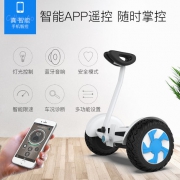 领奥 迷你自平衡 儿童/成人电动代步车 两轮体感平衡车 36V