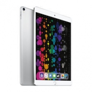 Apple 苹果 iPad Pro 10.5 英寸 平板电脑 银色 WLAN 256G