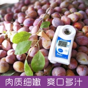 喀什法兰西西梅 3斤 无脂肪 好吃不胖  新疆直发