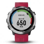 GARMIN 佳明 Forerunner 645 运动心率表 音乐支付版