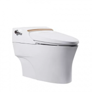 American Standard   美标 CEAS5392 一体智能坐便器