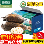 10点开始限前10分钟，誉福园 现摘现发 湖北特产 洪湖莲藕5斤装（拍2件）