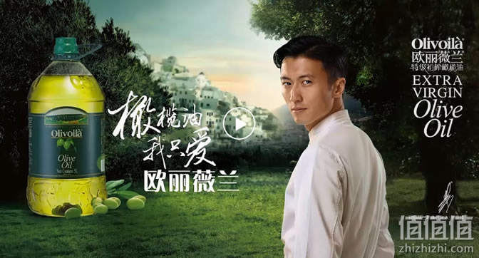 欧丽薇兰纯正橄榄油