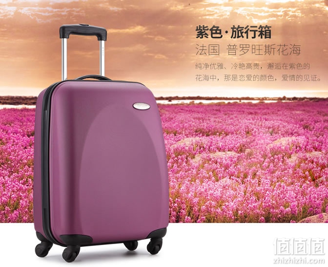 旅行箱品牌排行榜_手表品牌标志图片大全(4)