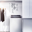 三洋全自动波轮洗衣机 N9