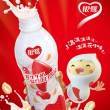 银鹭花生牛奶 500ml*15瓶