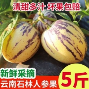 清甜多汁 云南石林特产 新鲜人参果 5斤