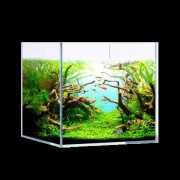 聚宝源 JKL400 超白鱼缸 40*25*28cm