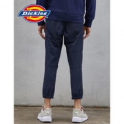 京东PLUS会员：Dickies 174M40WD02 抓绒登山慢跑裤