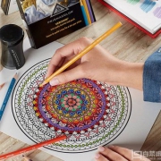 美国Sanford旗下，Prismacolor Premier Verithin 彩色铅笔24色 Prime会员凑单免费直邮含税