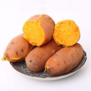 农佳优选 新鲜红薯 5斤装