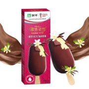 MENGNIU 蒙牛 蒂兰圣雪 香草巧克力口味冰淇淋 60g