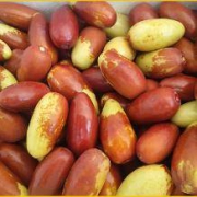 春荡  子弹头马牙枣 新鲜脆甜 3斤装
