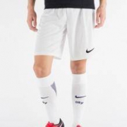 NIKE 耐克 725887-100 男款梭织短裤