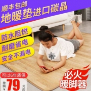 恩特思 碳晶电热地毯50*60cm