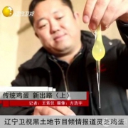 盘锦特产，赵圈河  营养新鲜灵芝鸡蛋农家柴土鸡蛋礼盒30枚