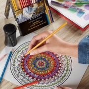 Prismacolor  Premier Verithin 彩色铅笔 锐化线条24色装