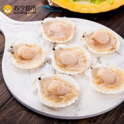 獐子岛 冻半壳虾夷扇贝（速冻生制）850g *2件