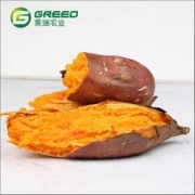 景瑞红蜜薯 5斤